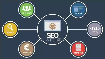 SEO On-Page SEO vs. Off-Page SEO: Techniques to Increase Website Traffic