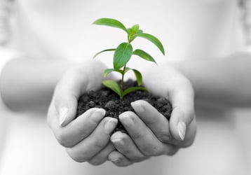 创建博客：打下坚实基础的技巧 [视频］