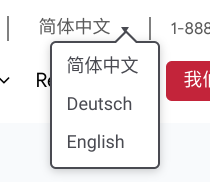 Language Switcher